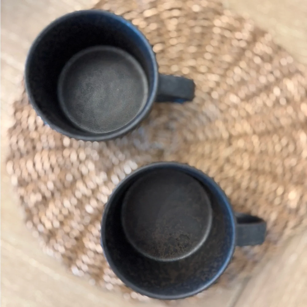 West Elm - Lucia Wide Rim Mug Set